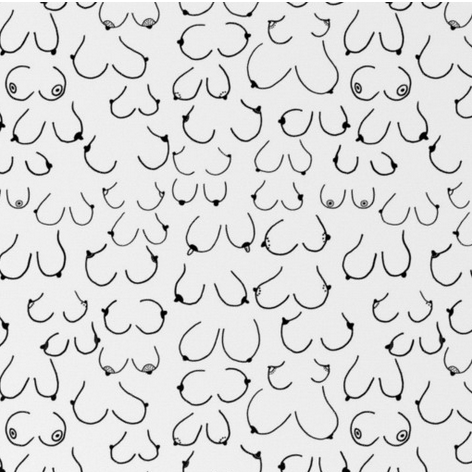 Simply the Breast or should I Say Nipple