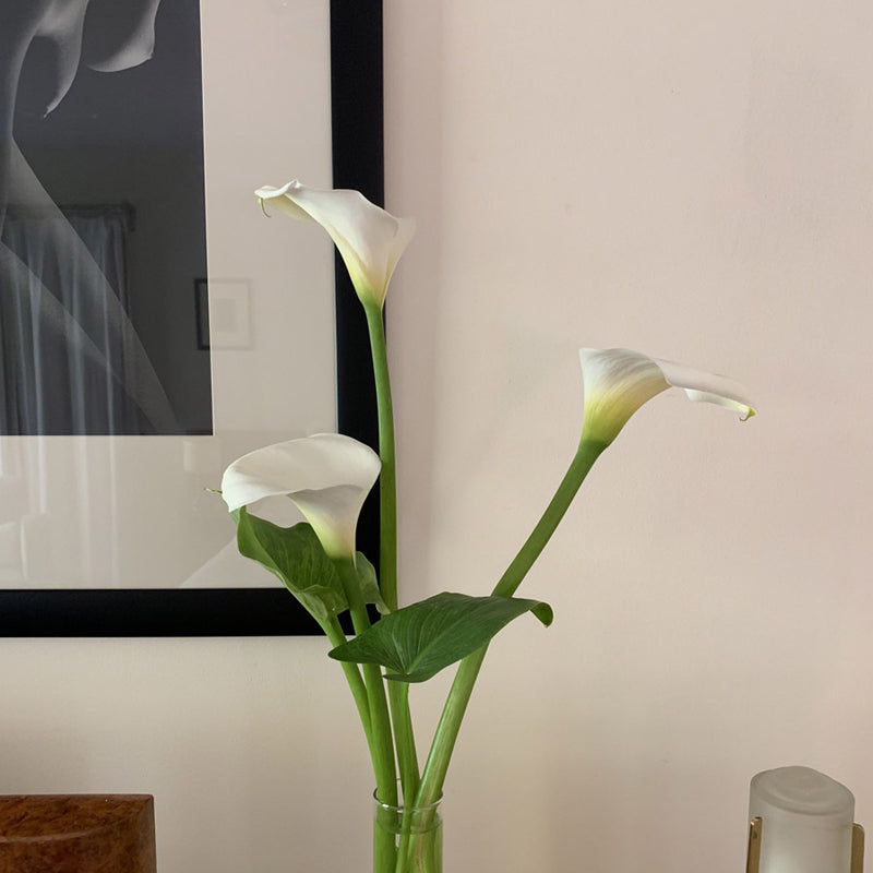 Women & Flowers